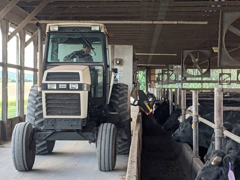 Feedlot Works Best for Beef Brothers